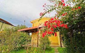 Villa Sofia